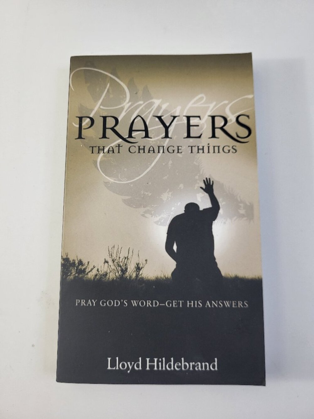Prayers That Change Things by Lloyd Hildebrand Christian Devotional Paperback